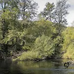 Cabanas Tierra Nueva